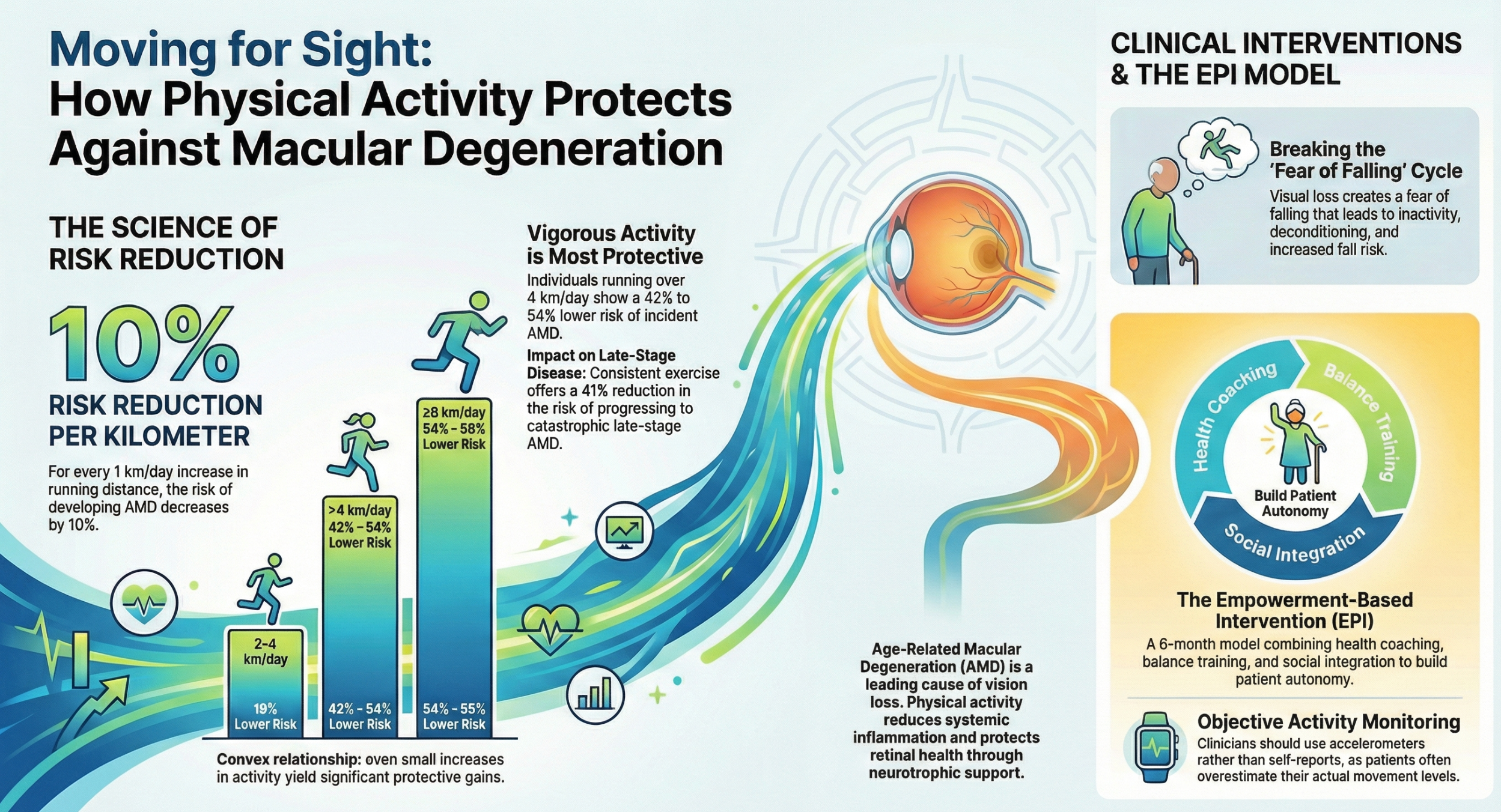 Comprehensive Review of Physical Activity and Age-Related Macular Degeneration (AMD)